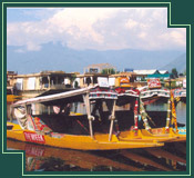 Shikara Dal lake