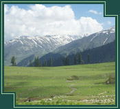 Kashmir Hills
