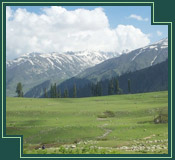 Gulmarg