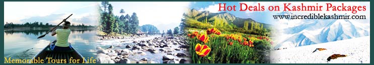 Hot Deals on Kashmir Packages