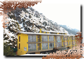Hotel Pine Grove Kashmir