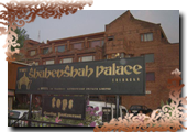 Hotel Shahenshah Palace