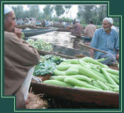 Kashmir Vegetables